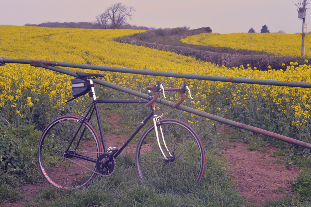 SingleSpeedCC_5364_Firthwood