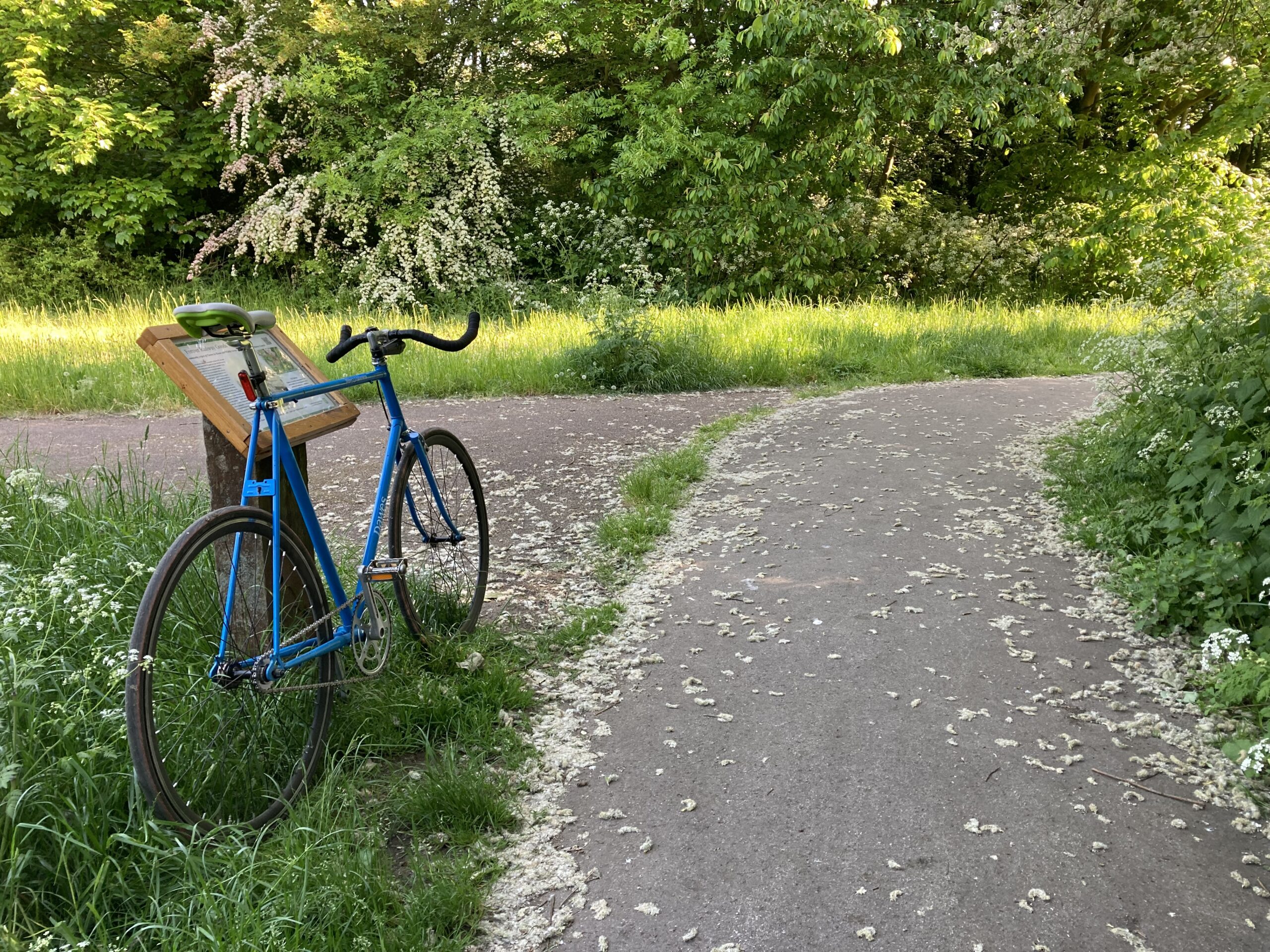 Check yo’ speed pal: chasing an elusive average speed for my school run. 
